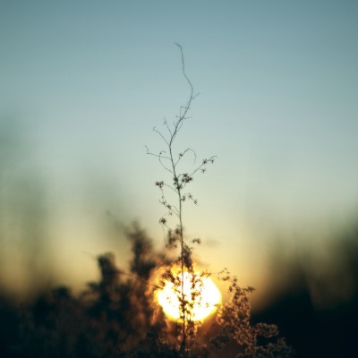 1920 x 1080 HD Wallpapers 241